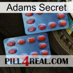 Adams Secret 05